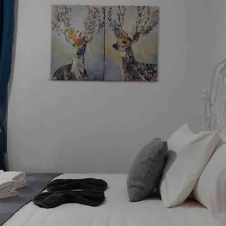 Spacious And Bright Apartamento *